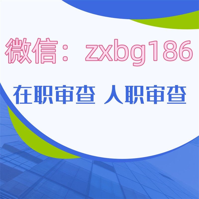 個人征信報告制作sq使用的編輯器